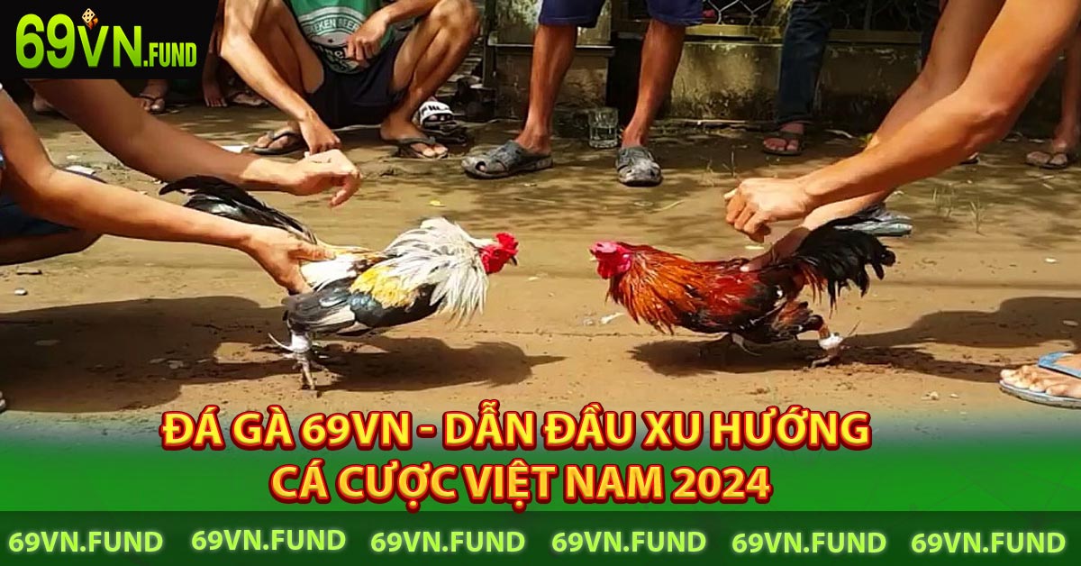 Đá Gà 69VN - Dẫn đầu xu hướng cá cược Việt Nam 2024
