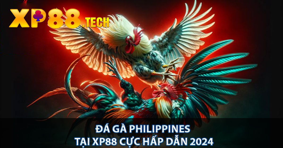 Đá Gà Philippines Tại XP88 Cực Hấp Dẫn 2024